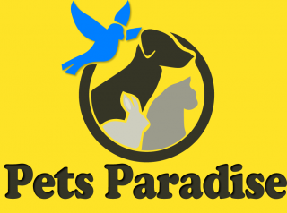 Pets-Paradise-Jalandhar